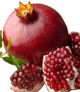 Punica granatum 'Acco'